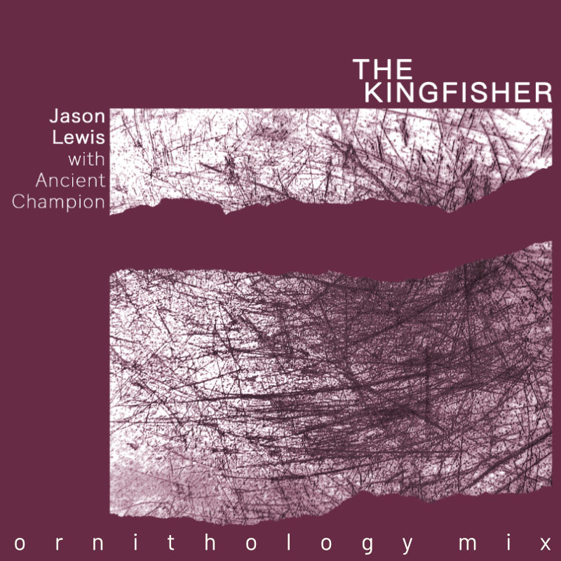 cover art for The Kingfisher (Ornithologists Mix)